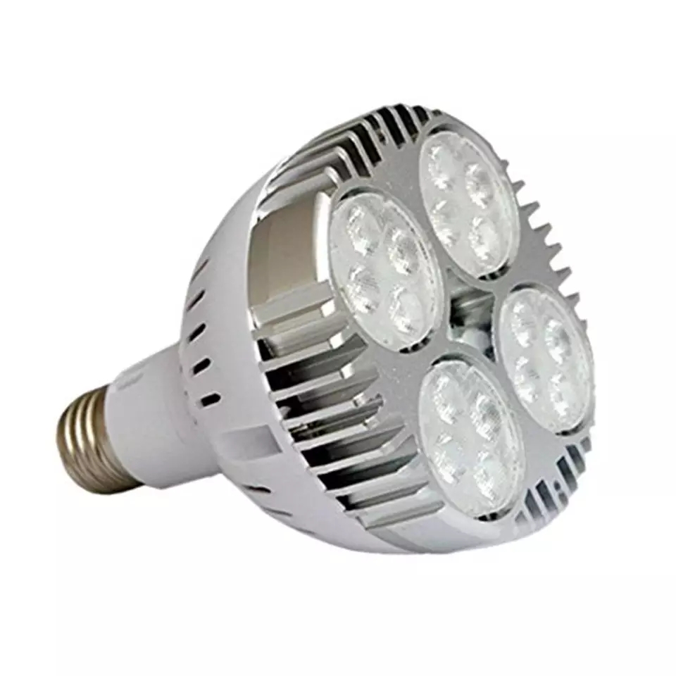dentro Tregua bulto FOCO PAR 30 45W 3000K | Prolightpty